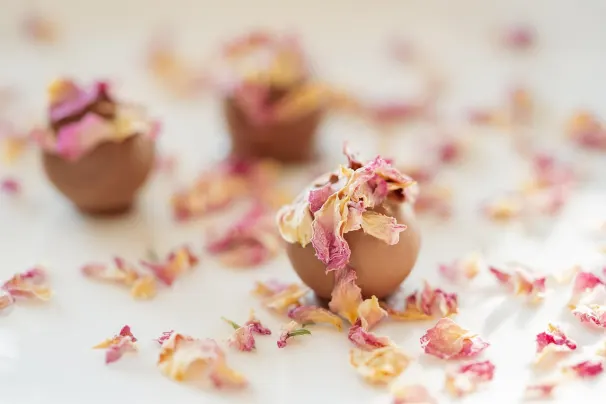 Kazino Lotus Asia Android/iOS Lietotne